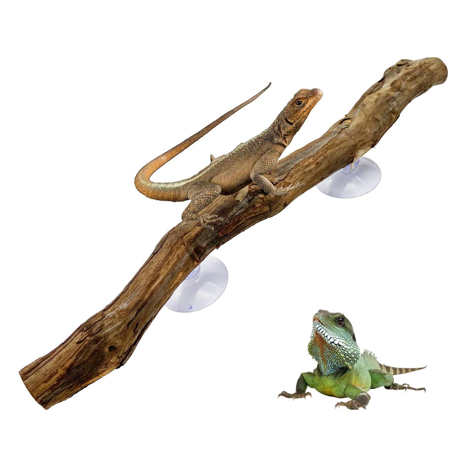 Home Decor Habitat - Reptile Climbing Corner Stick Non-slip Reptile