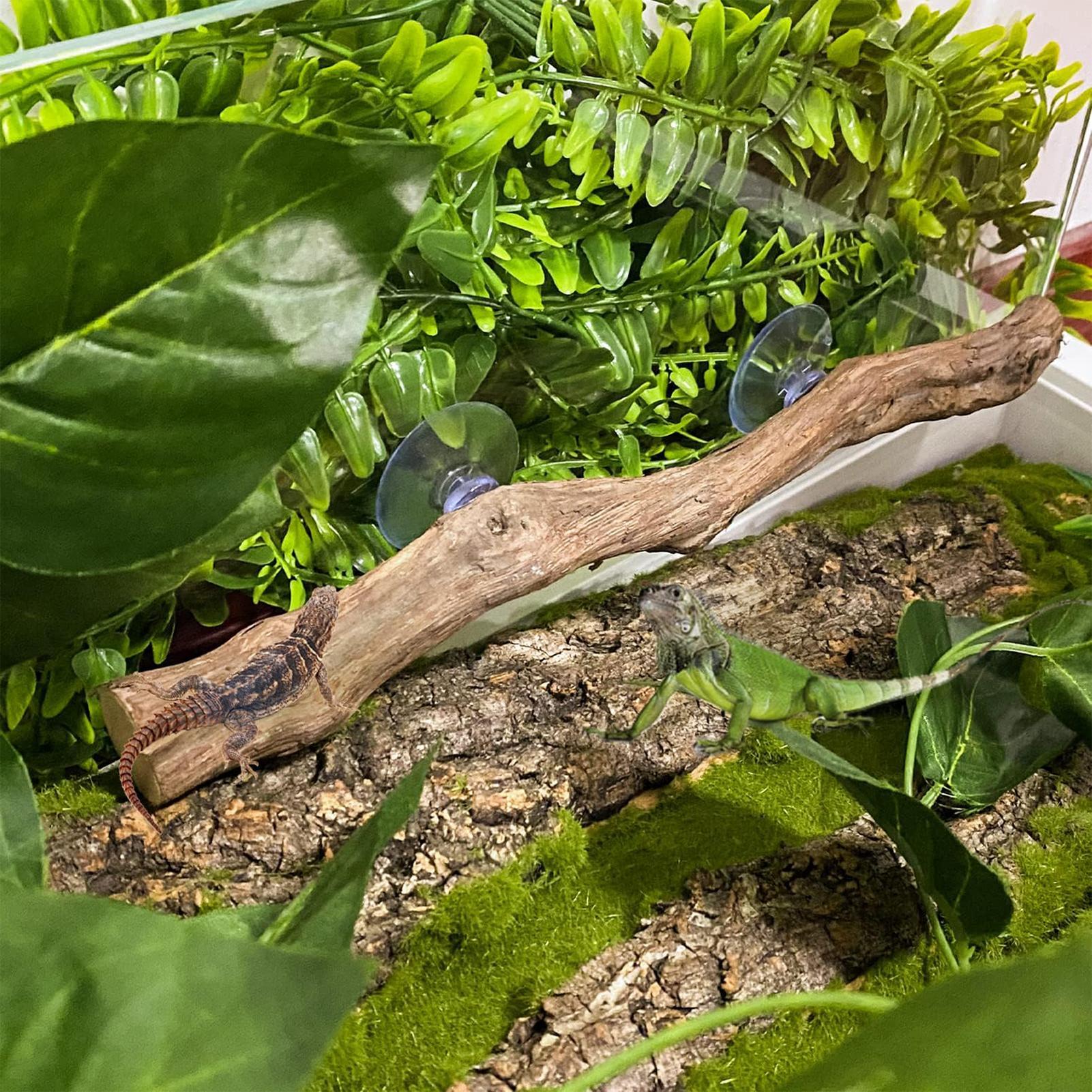 Wooden Snake Climbing Branch R - Home Decor Habitat recension och pris