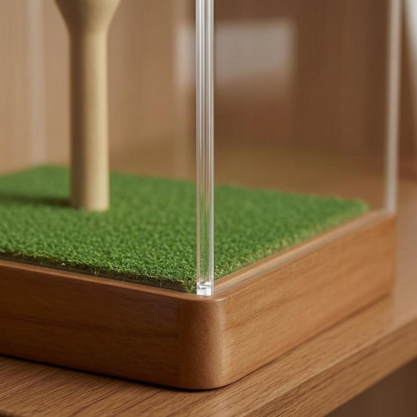 Golf Ball Case Acrylic Display - Home Decor Organizer recension och pris