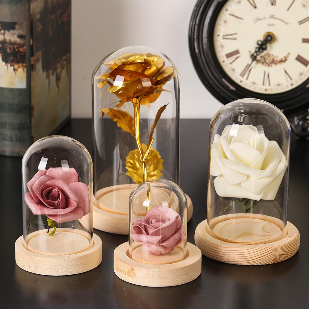 Home Decor Plants Jar Terrariu - Home Decor Flowers recension och pris