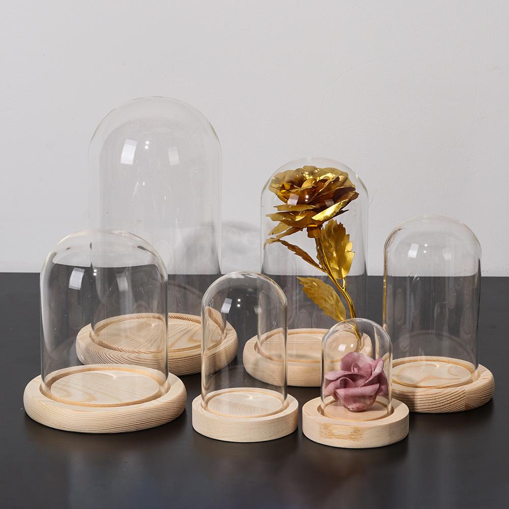 Home Decor Plants Jar Terrariu - Home Decor Flowers recension och pris