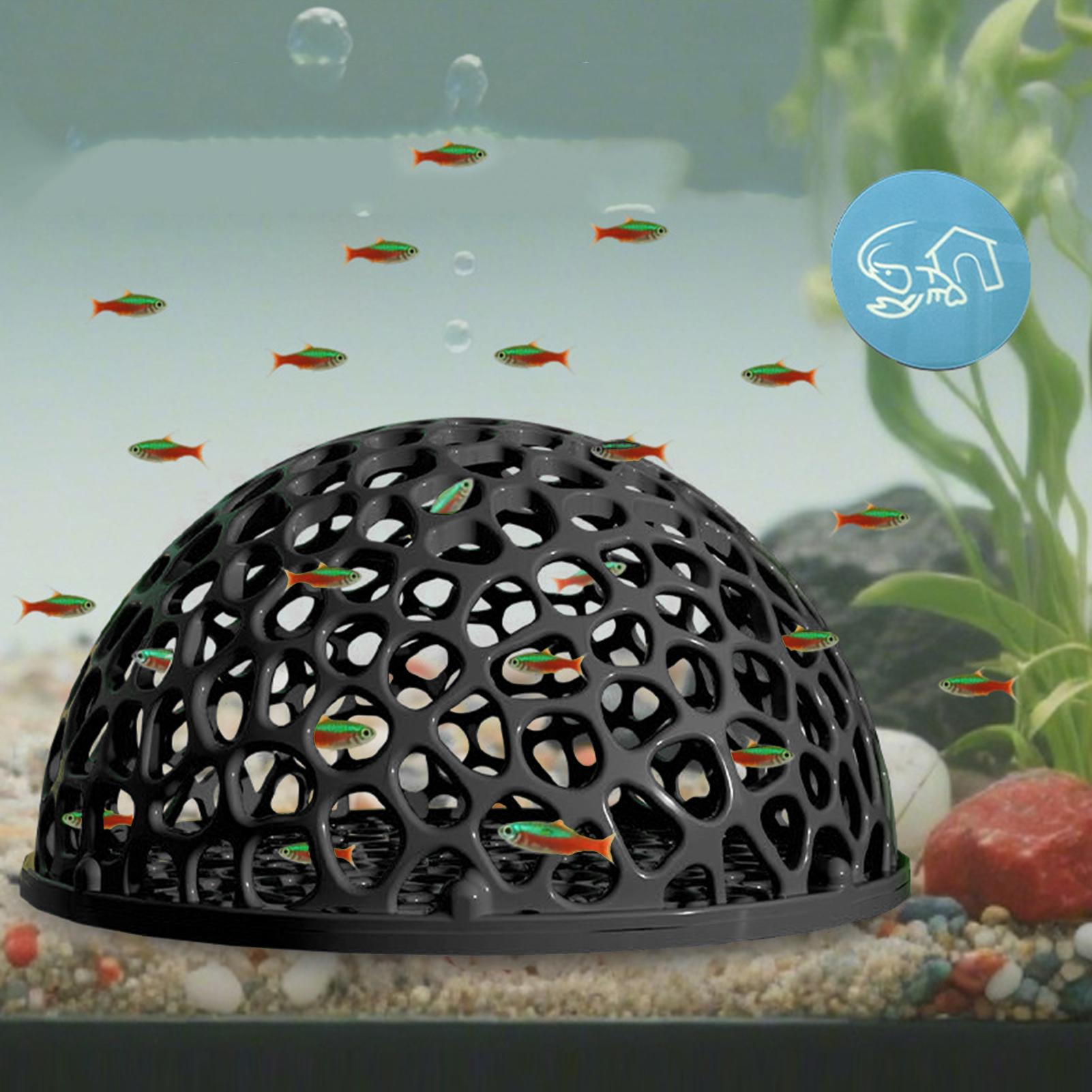 Shrimp Hide Breeding Hide Shri - Home Decor Habitat recension och pris