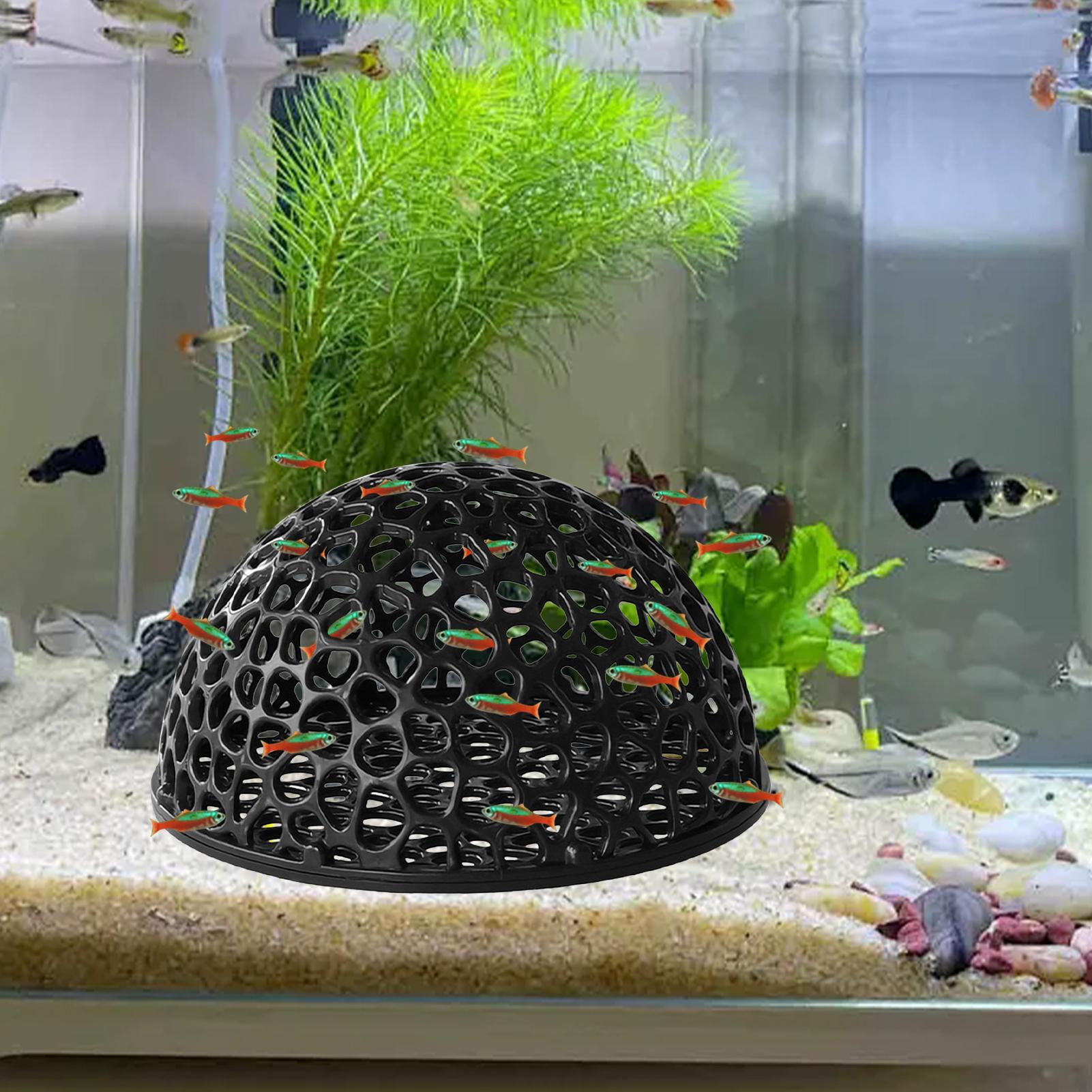 Shrimp Breeding Cave fish tank - Home Decor Habitat recension och pris
