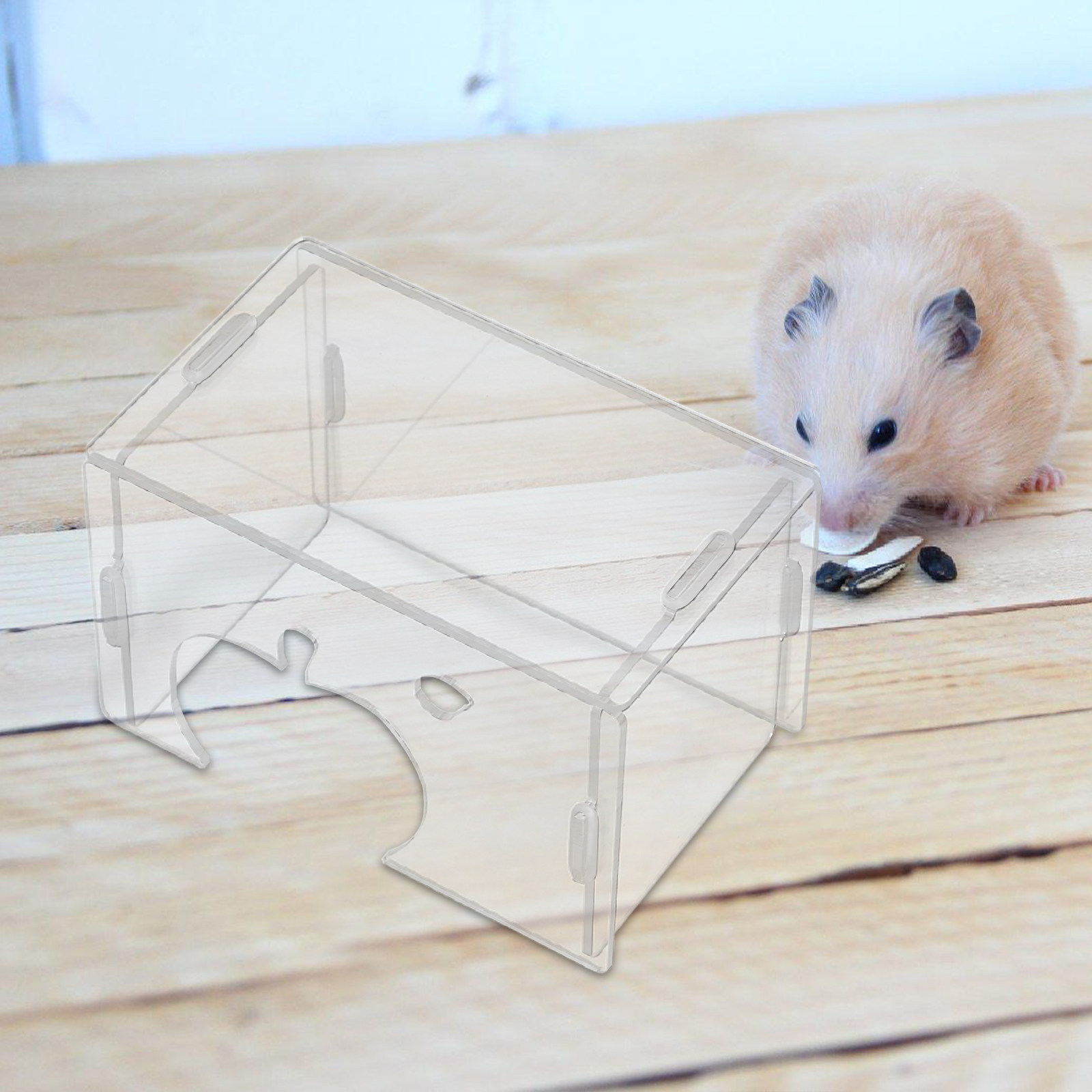Hamster Hideout Clear Acrylic  - Home Decor Habitat recension och pris