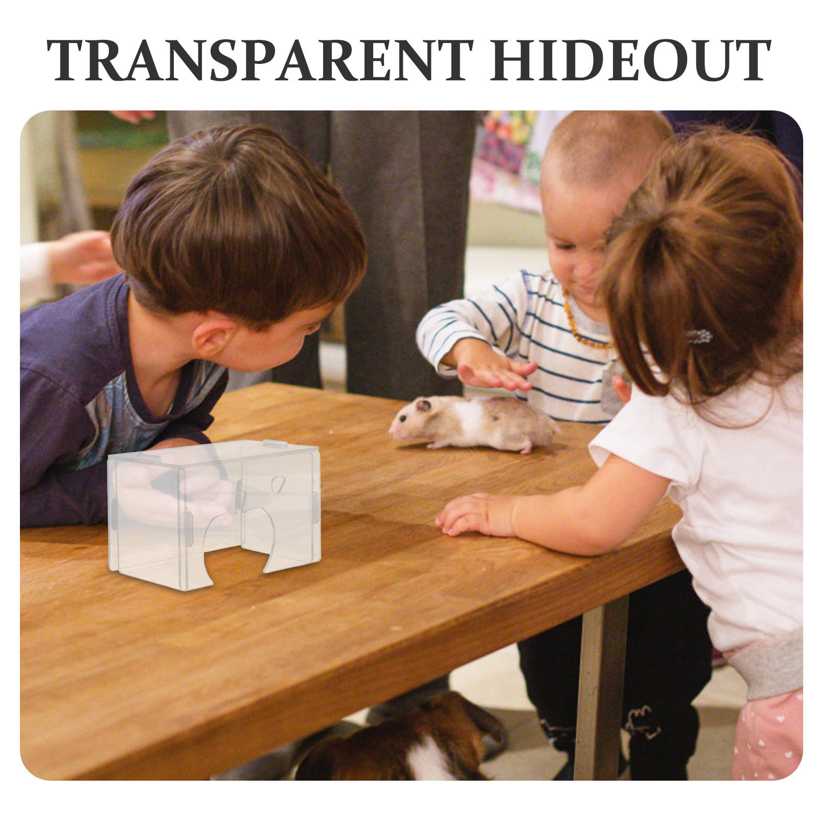 Hamster Hideout Clear Acrylic  - Home Decor Habitat recension och pris
