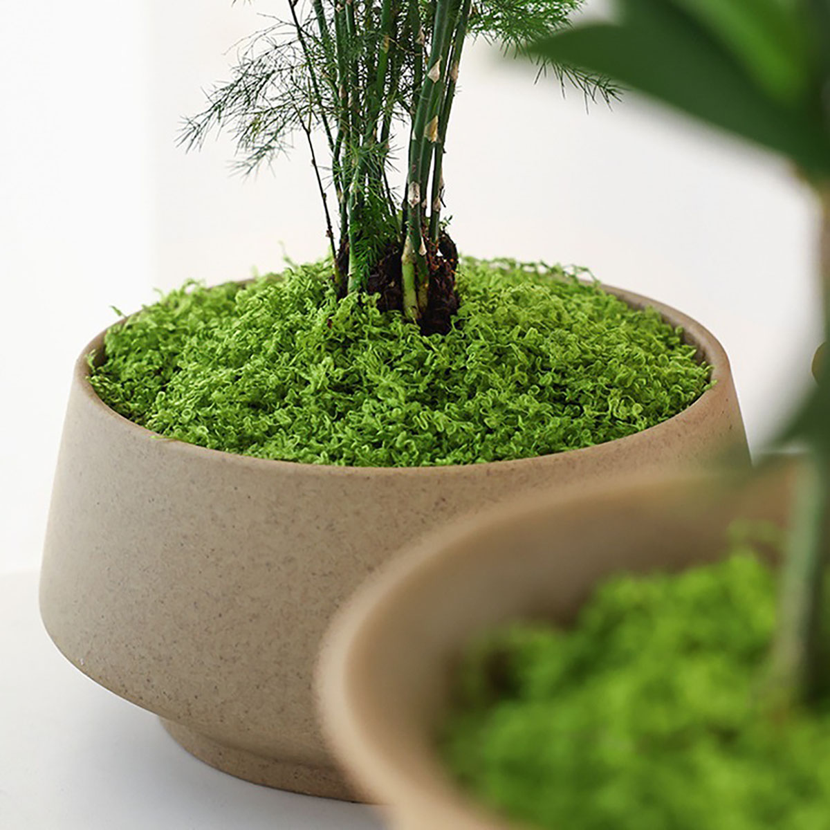 About 20g Artificial Green Pla - Home Decor Handicraft recension och pris