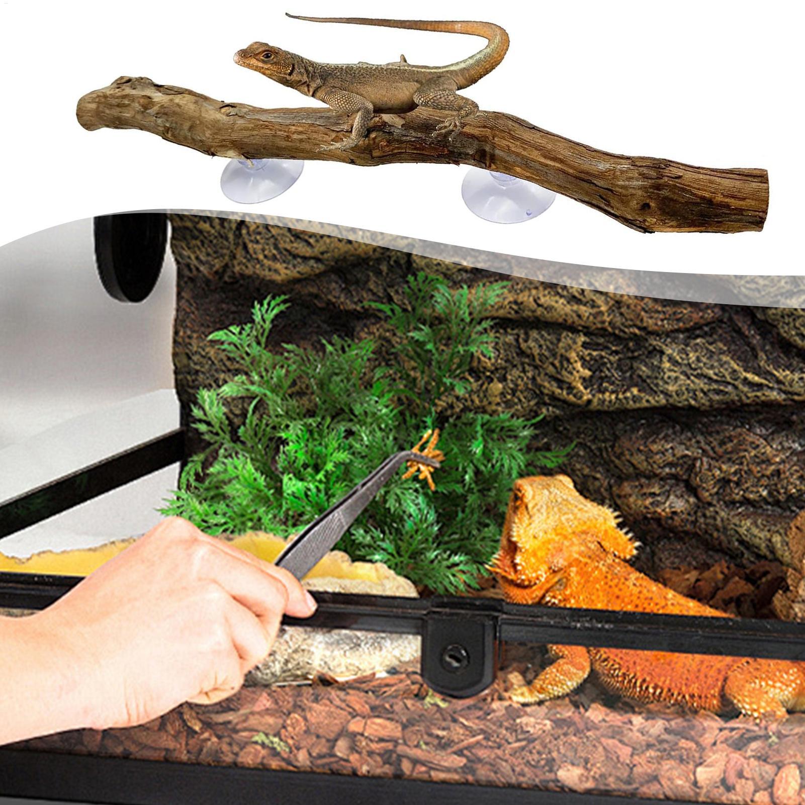 Reptile Climbing Corner Stick  - Home Decor Habitat recension och pris