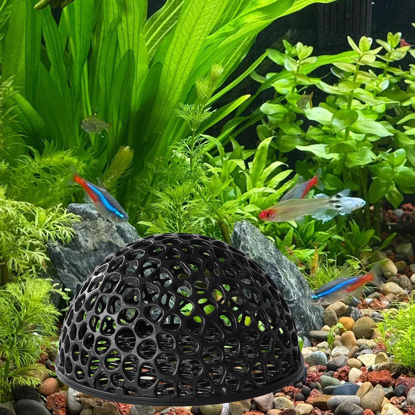A  Shrimp Breeding Cave fish t - Home Decor Habitat recension och pris