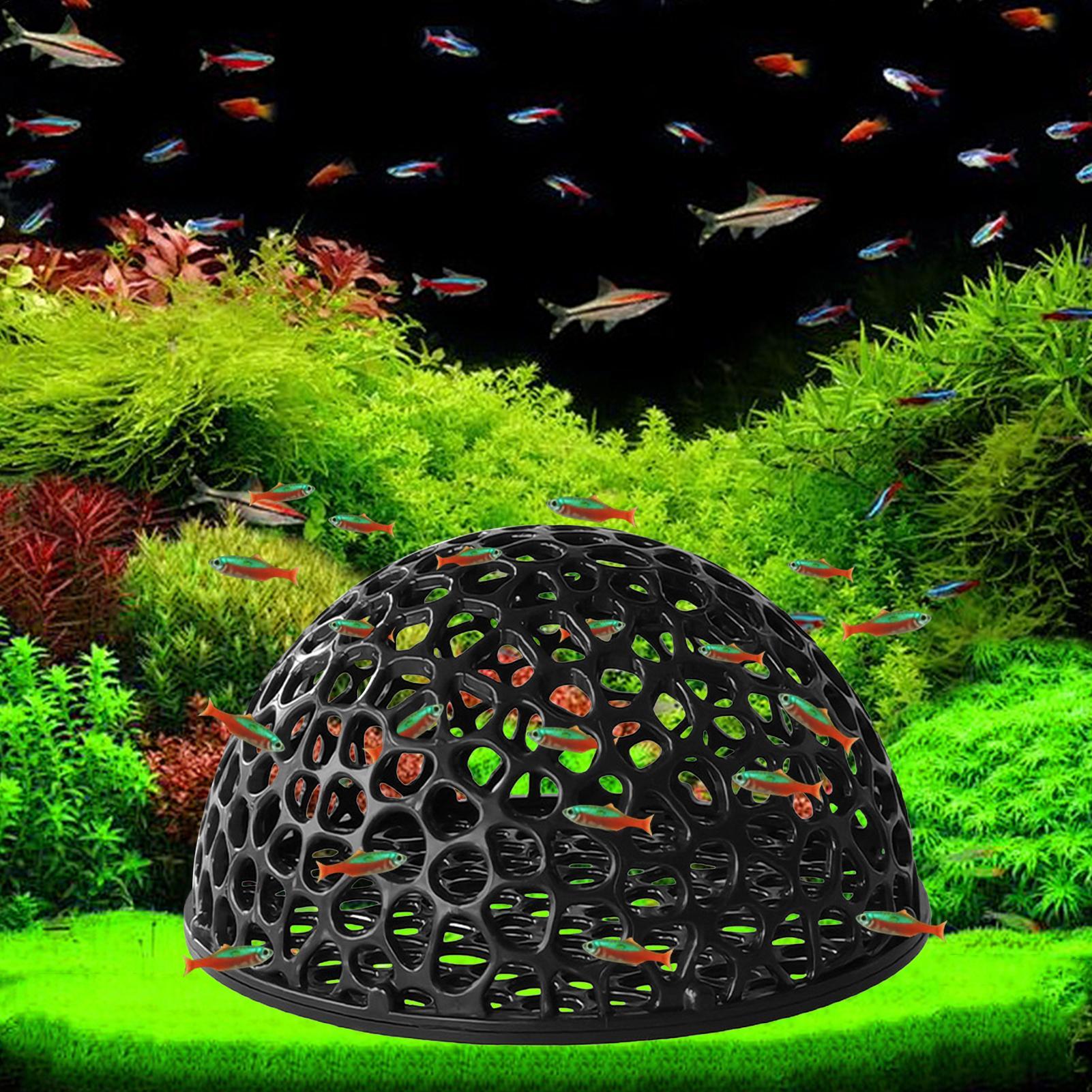 A  Shrimp Breeding Cave fish t - Home Decor Habitat recension och pris