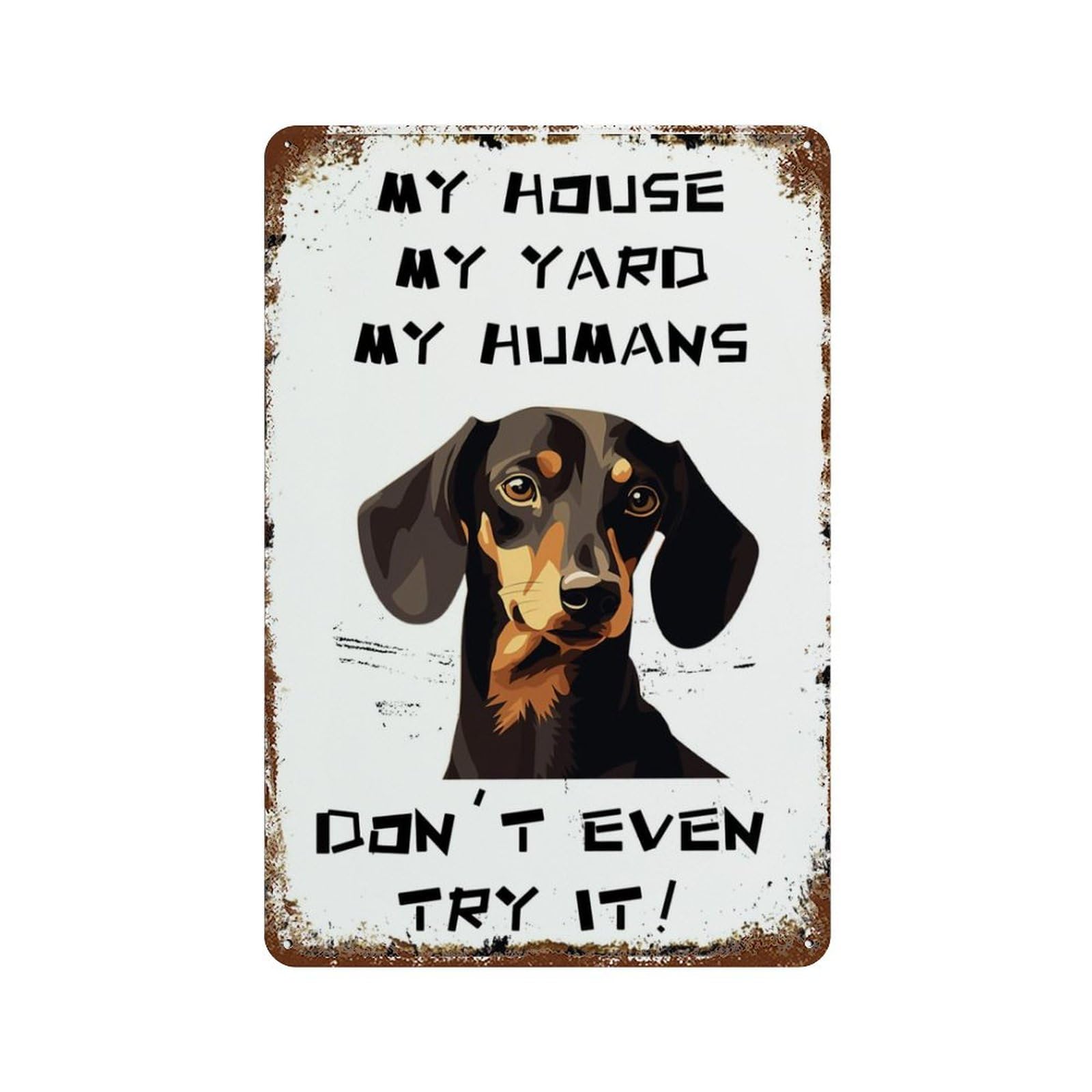 Vintage Tin Sign Dachshund My  - Home Decor Nearby recension och pris